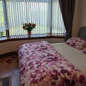  Homestay House Of Bondol